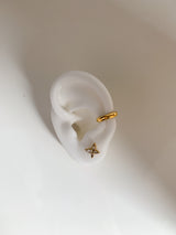 Earrings Aponi.