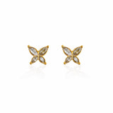 Earrings Aponi.